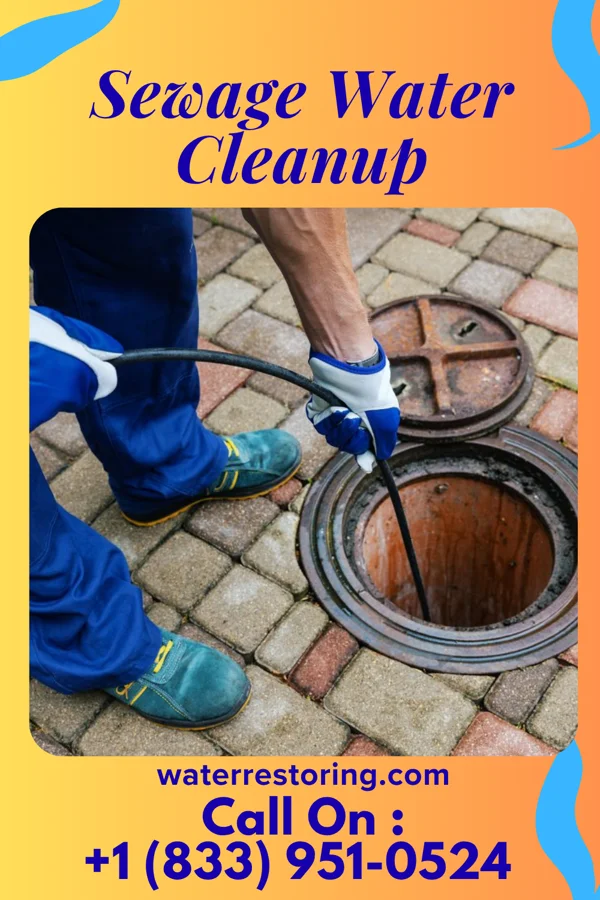 Sewage Water Cleanup in Aurora, IN